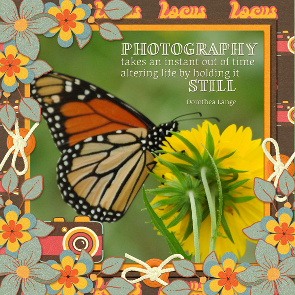 PHOTOGRAPHY ...