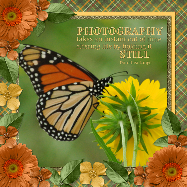 PHOTOGRAPY takes an instant ...