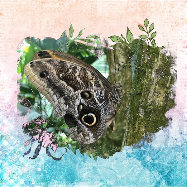 Photomask 5