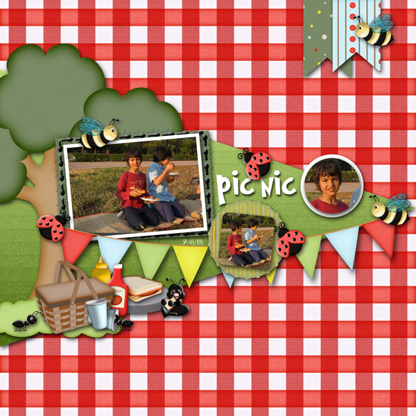 pic nic2