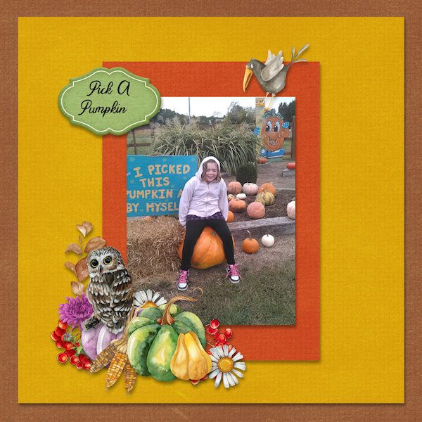Pick A Pumpkin