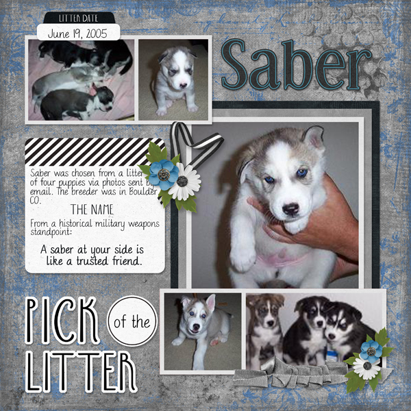 Pick of the Litter