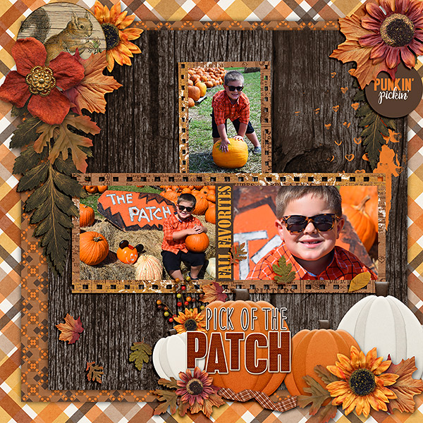 Pick of the Patch