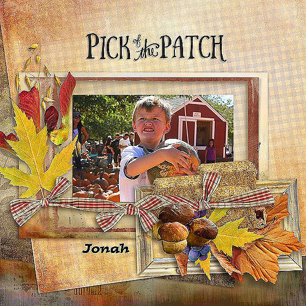 Pick of the patch