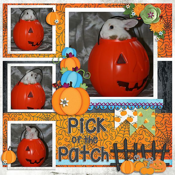 Pick of the Patch