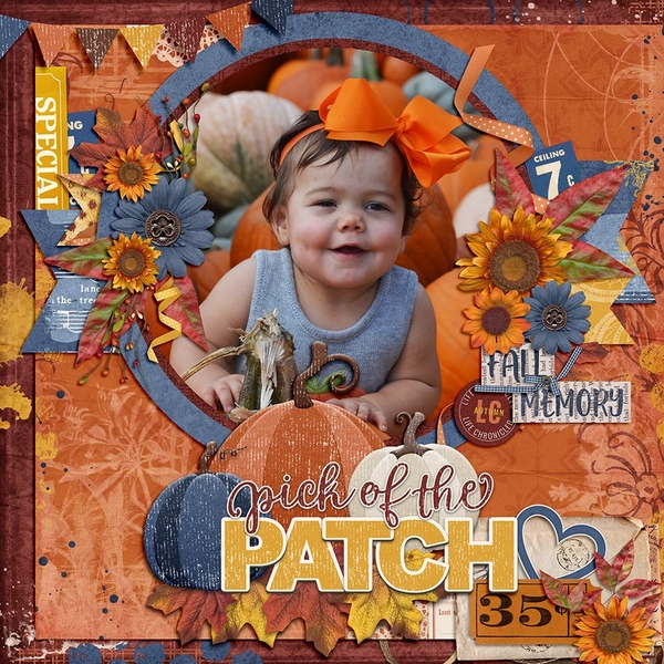 Pick of the Patch