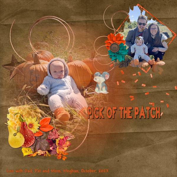 Pick Of The Patch