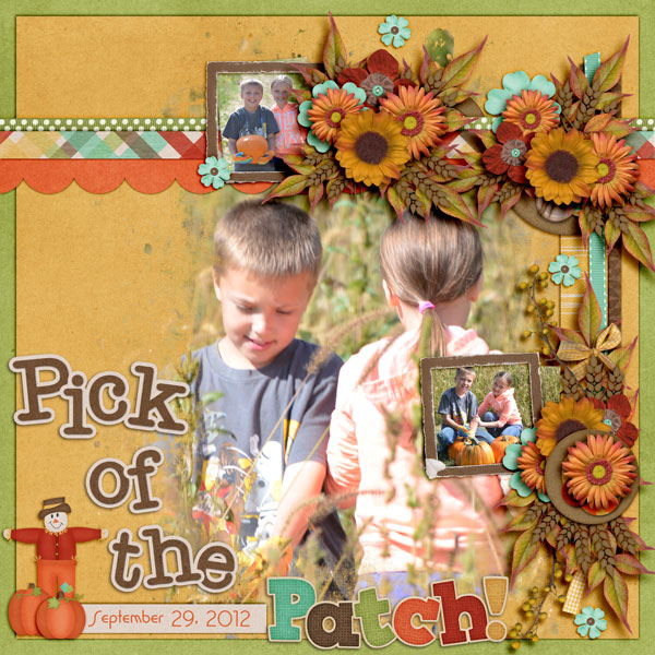 Pick of the Patch