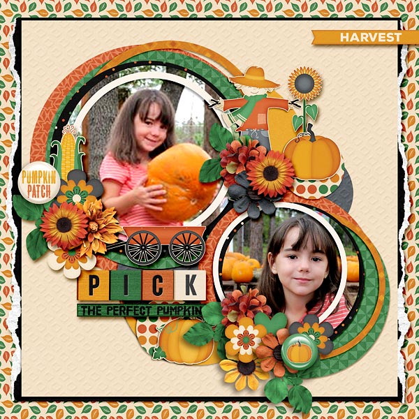 Pick The Perfect Pumpkin