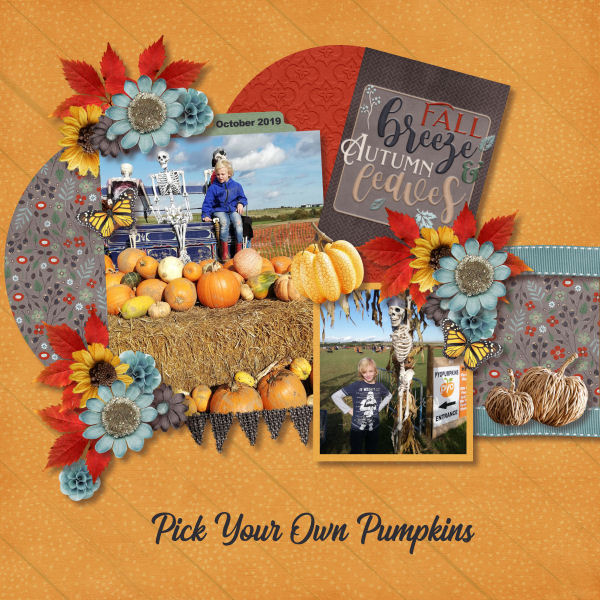 Pick Your Own Pumpkins