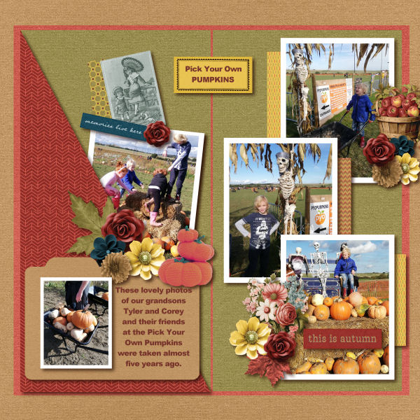 Pick your own Pumpkins