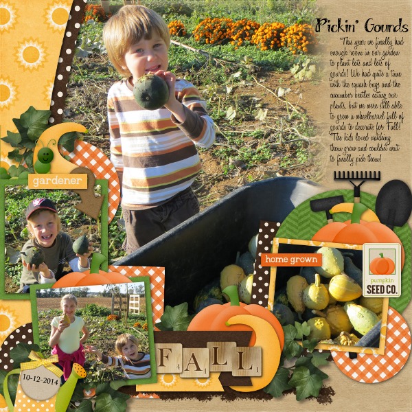 Pickin' Gourds