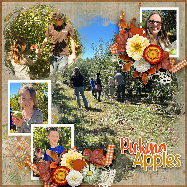 Picking Apples