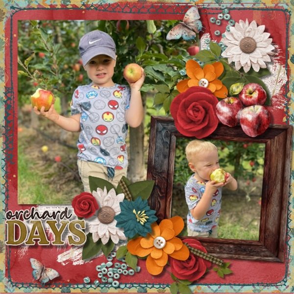 Picking Apples