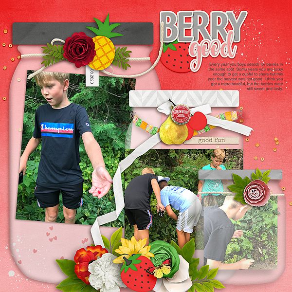 Picking Berries 2020
