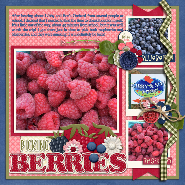 Picking Berries