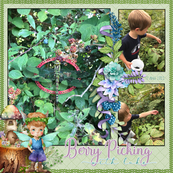 Picking Berries