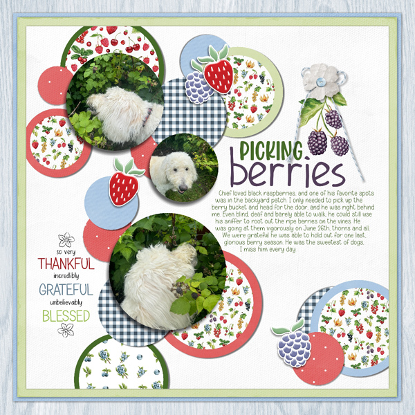 Picking Berries