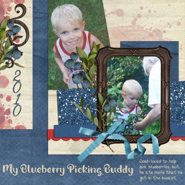 Picking-blueberries