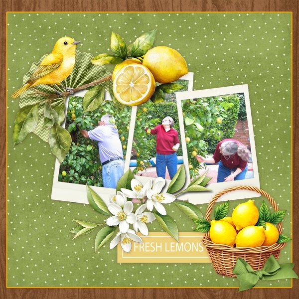 Picking Lemons