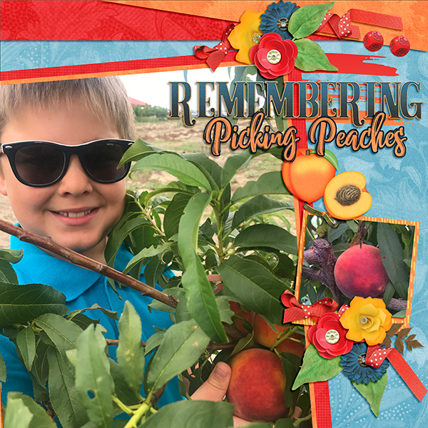 Picking Peaches
