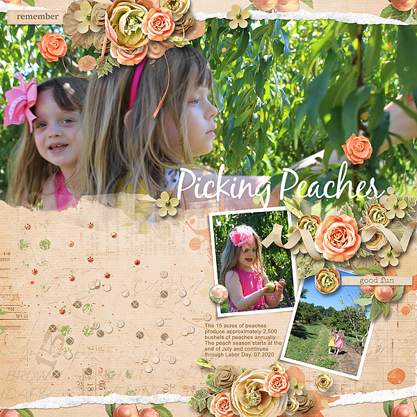Picking Peaches