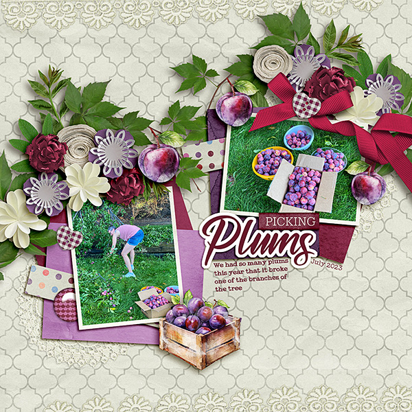 Picking Plums