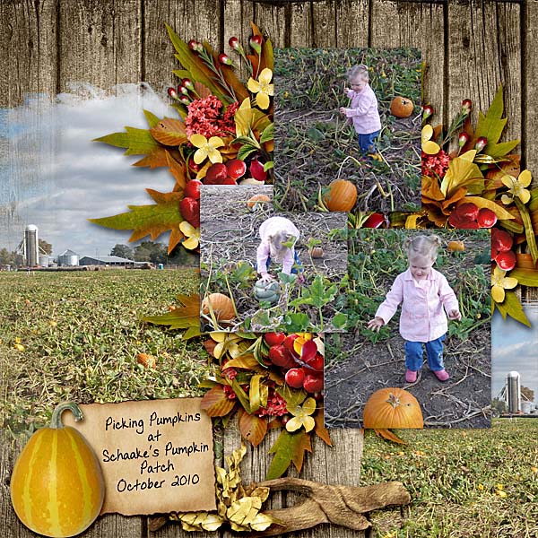 Picking Pumpkins