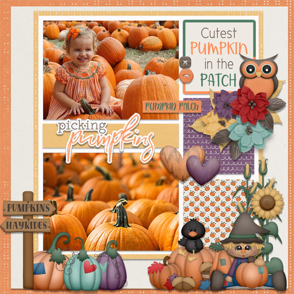 Picking Pumpkins