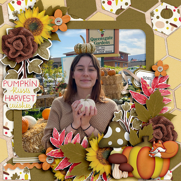picking-pumpkins