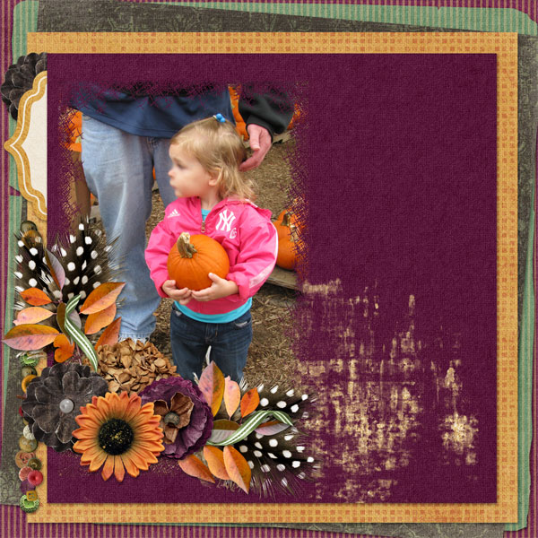 Picking pumpkins