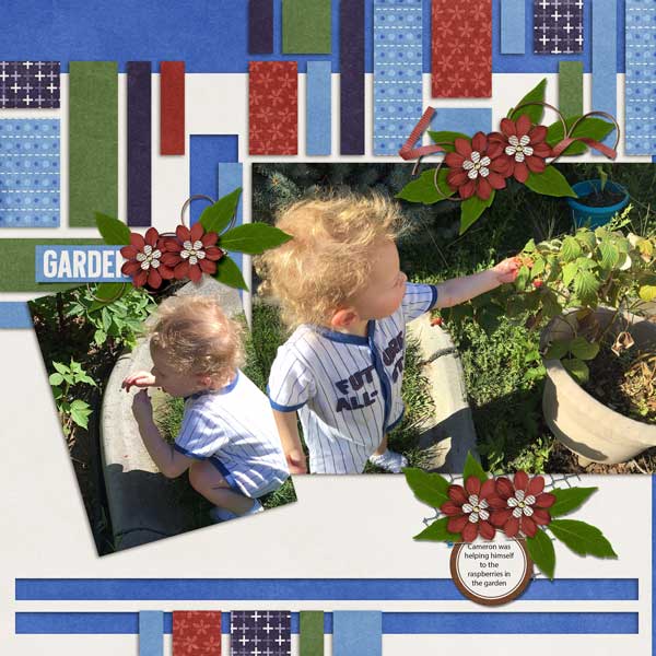 Picking Rapsberries