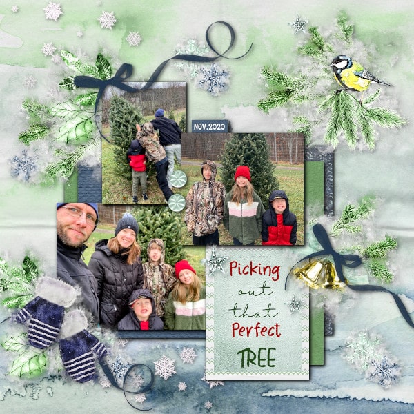 Picking That Perfect Tree