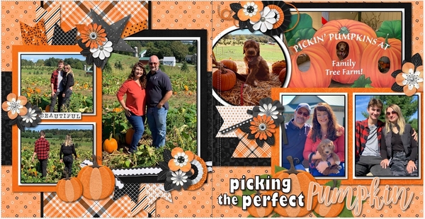 Picking the perfect Pumpkin