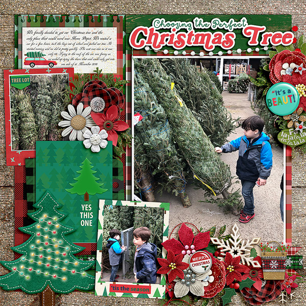 pickingxmastree2018