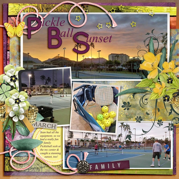PickleBall Sunset