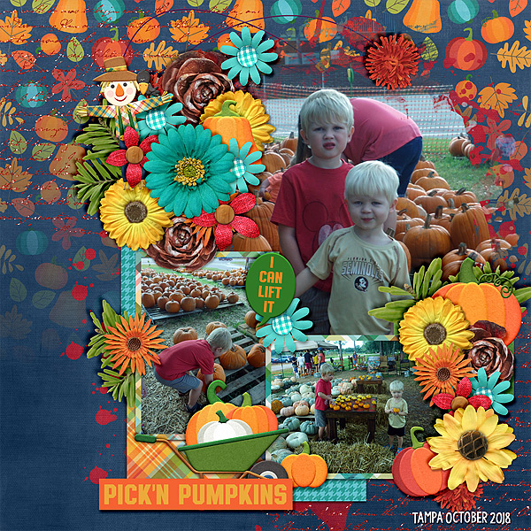 pickn-pumpkins-2018