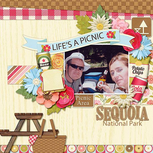 Picnic at Sequoia Park