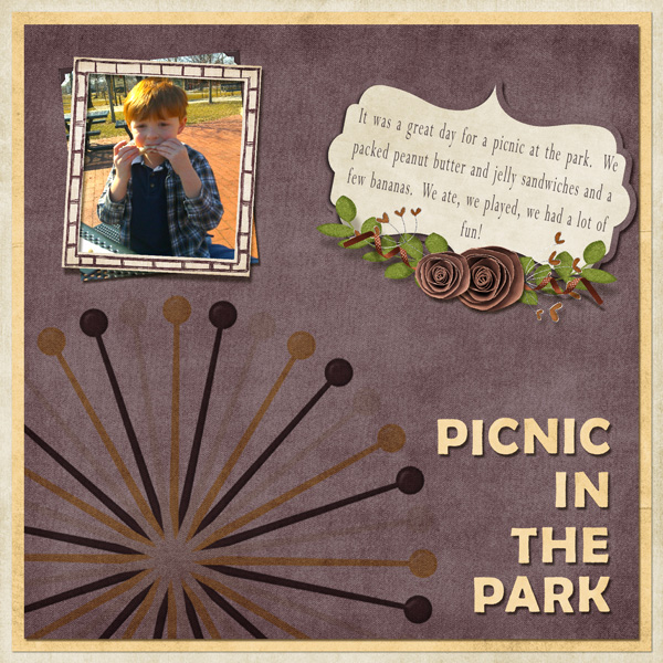 Picnic at the park
