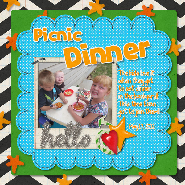 Picnic Dinner