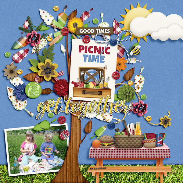 Picnic Get Together