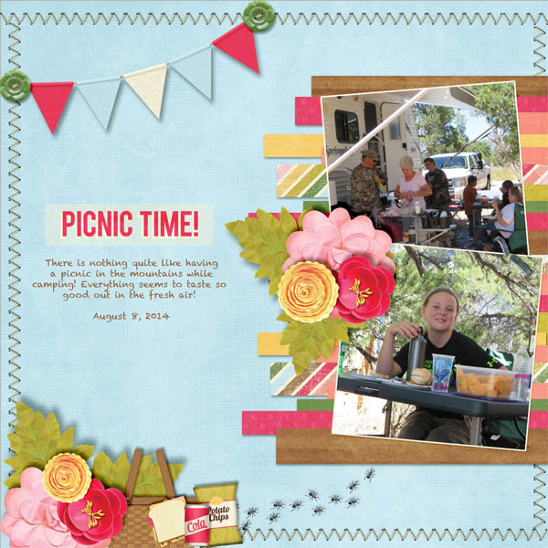 Picnic in the Mountains