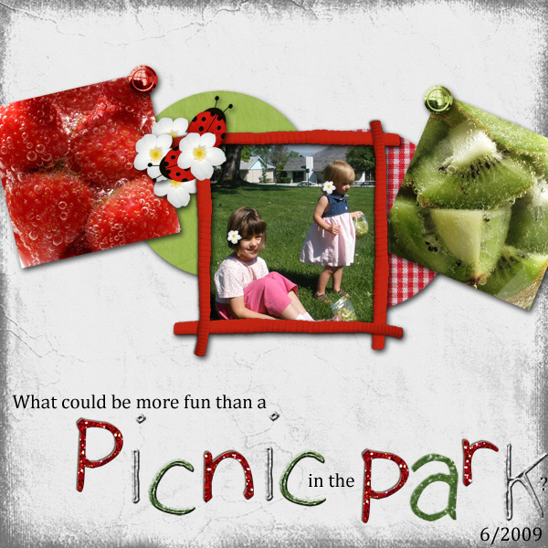picnic in the park