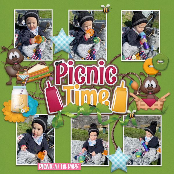 Picnic in the Park