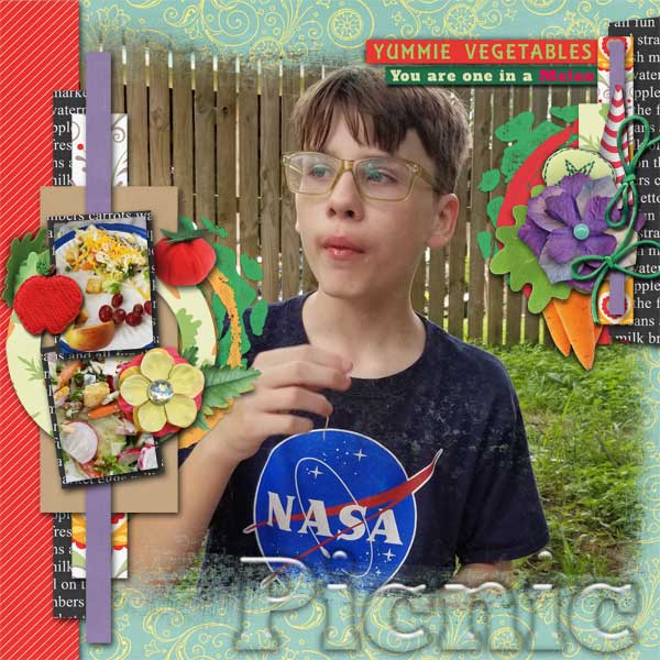 picnic5