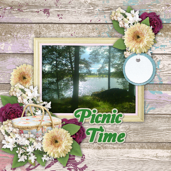 picnic_time1