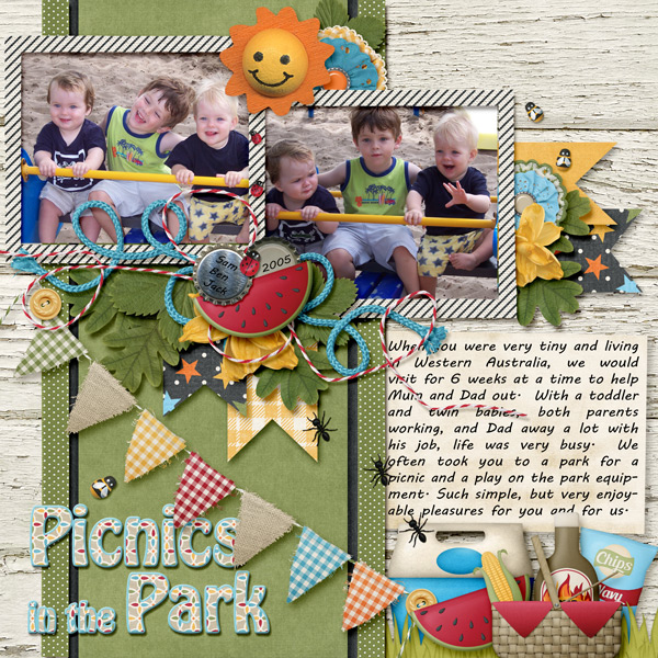 Picnics in the Park