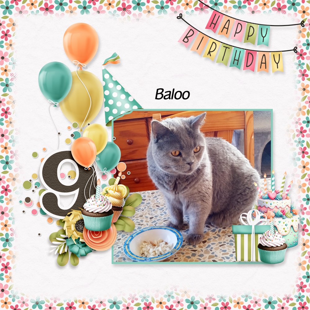 Picture perfect birthday