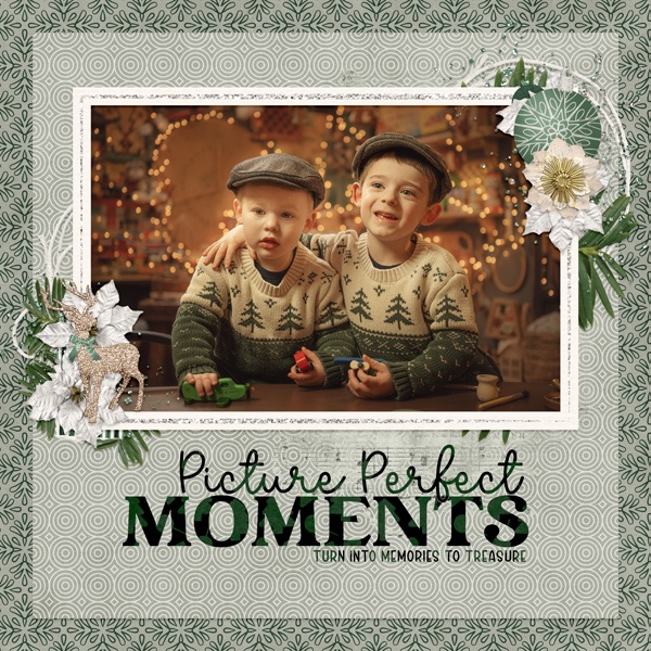 Picture Perfect Christmas