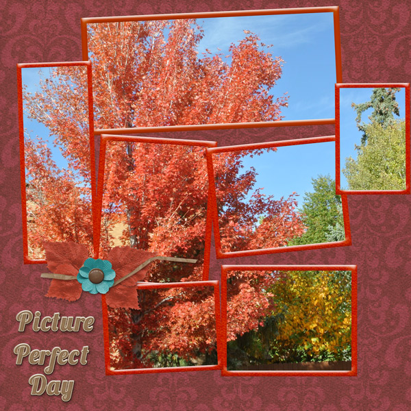 Picture Perfect Day